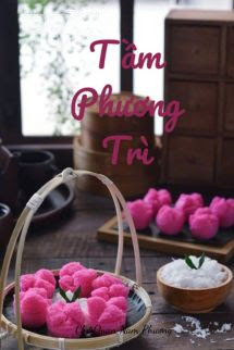 Tầm Phương Trì
