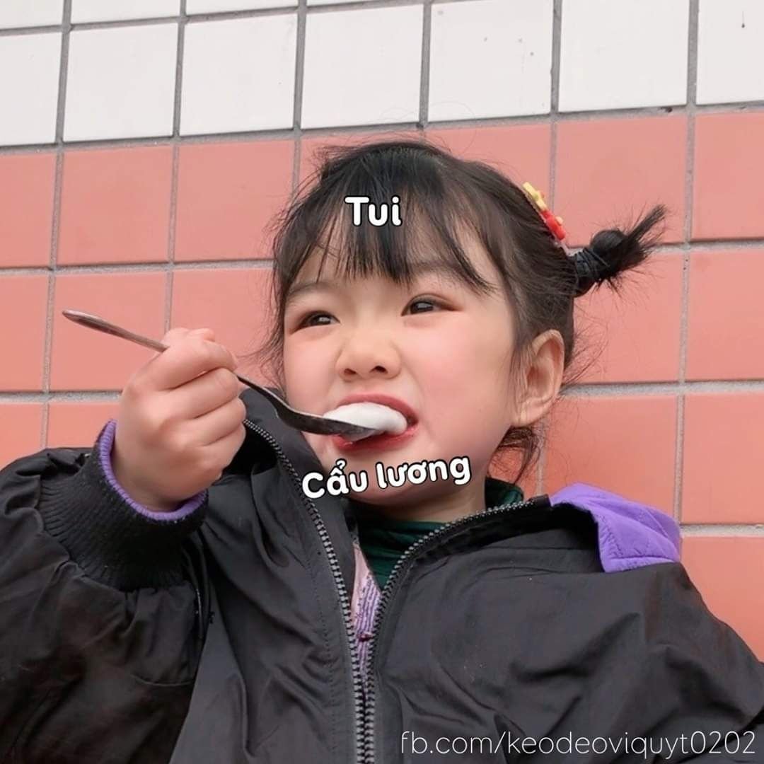 chapter content
