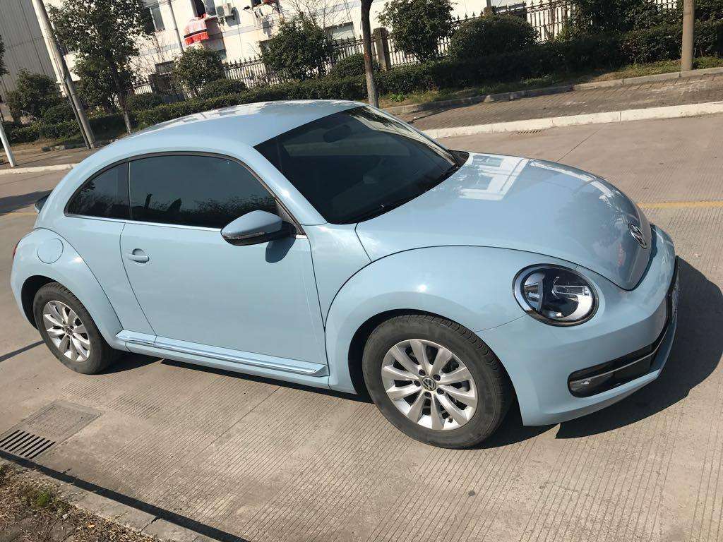 beetle