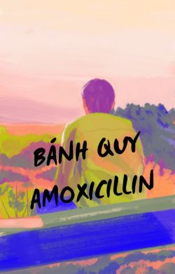 Công Dụng Của Bánh Quy Amoxicillin