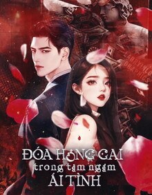Đóa Hồng Gai Trong Tầm Ngắm Ái Tình