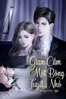 Giam Cầm Một Bông Tuyết Nhỏ