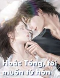 Hoắc Tổng, Tôi Muốn Từ Hôn