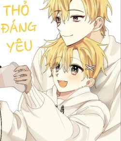 Thỏ Đáng Yêu