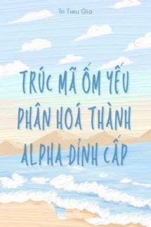 Trúc Mã Ốm Yếu Của Tôi Phân Hoá Thành Alpha Đỉnh Cấp